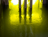 Water illuminated green by UV lamps