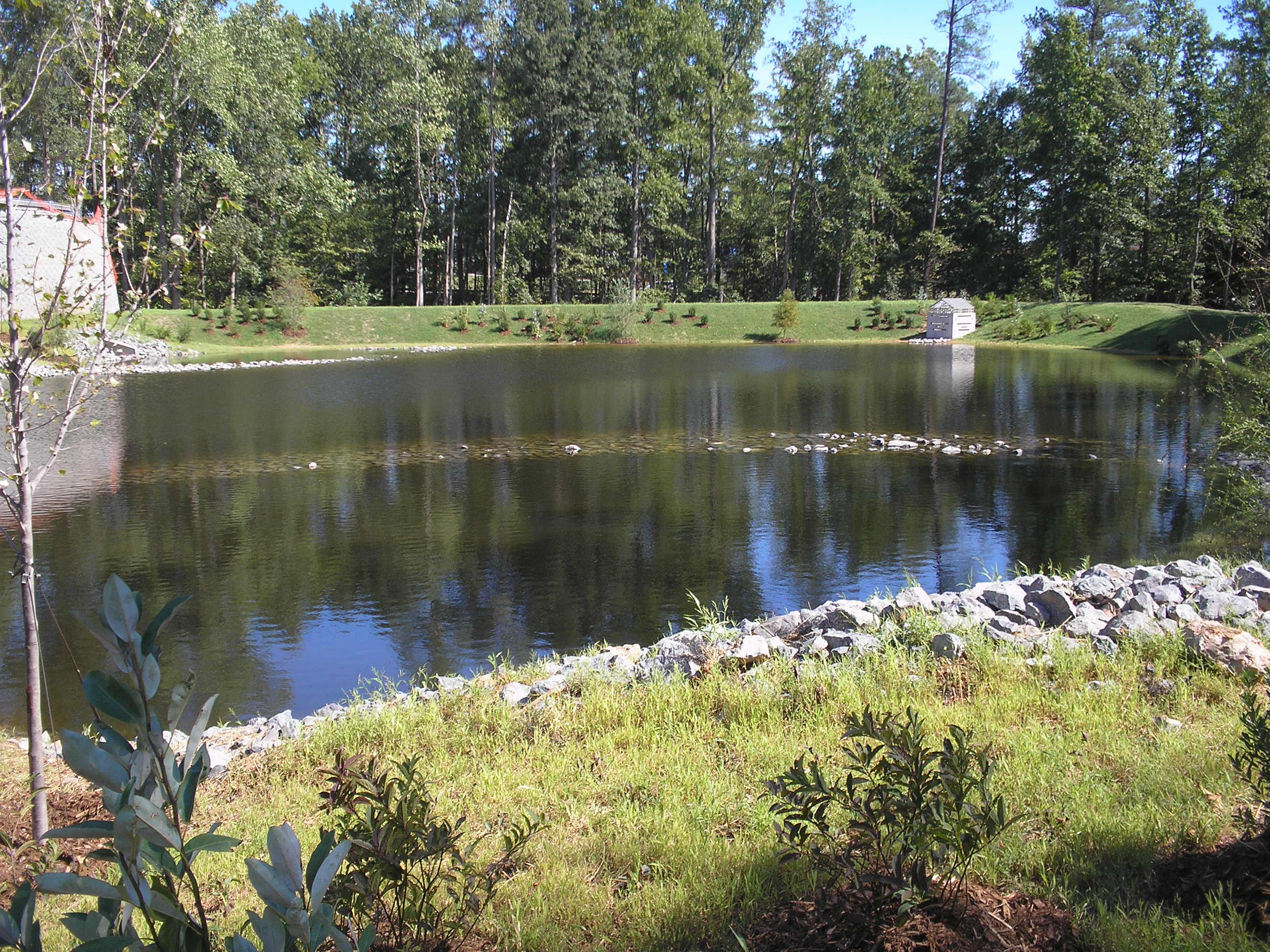 Stormwater Pond