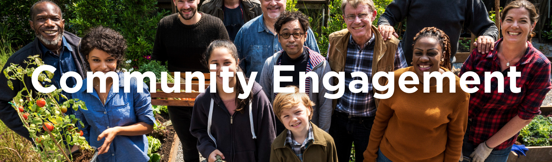 CDNC Web Banners, Headers (1)