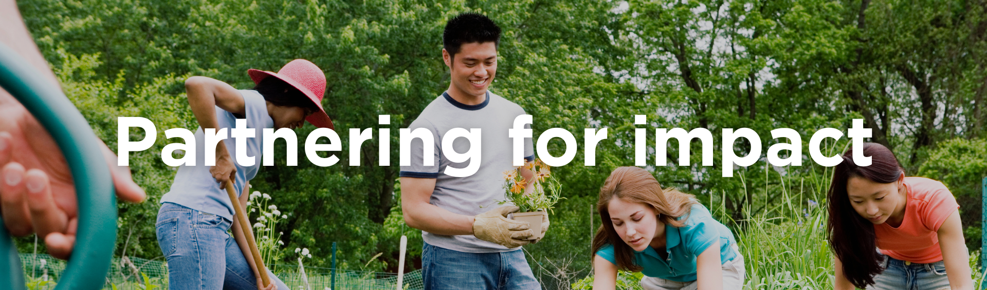 CDNC Web Banners, Headers (2)